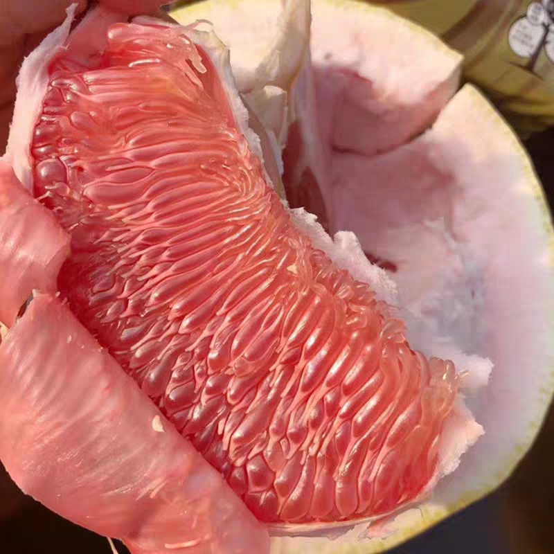 红心柚苗 色泽鲜艳，水分足，个头大