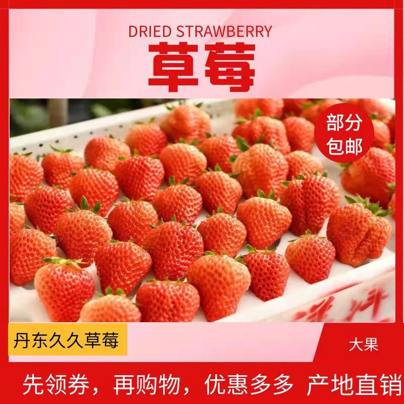 红颜草莓  丹东久久草莓牛奶草莓新鲜草莓