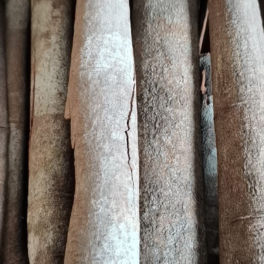 玉林广西桂通防城烟桂精品烟桂桂皮碎大量供应产地直接发货批零兼营
