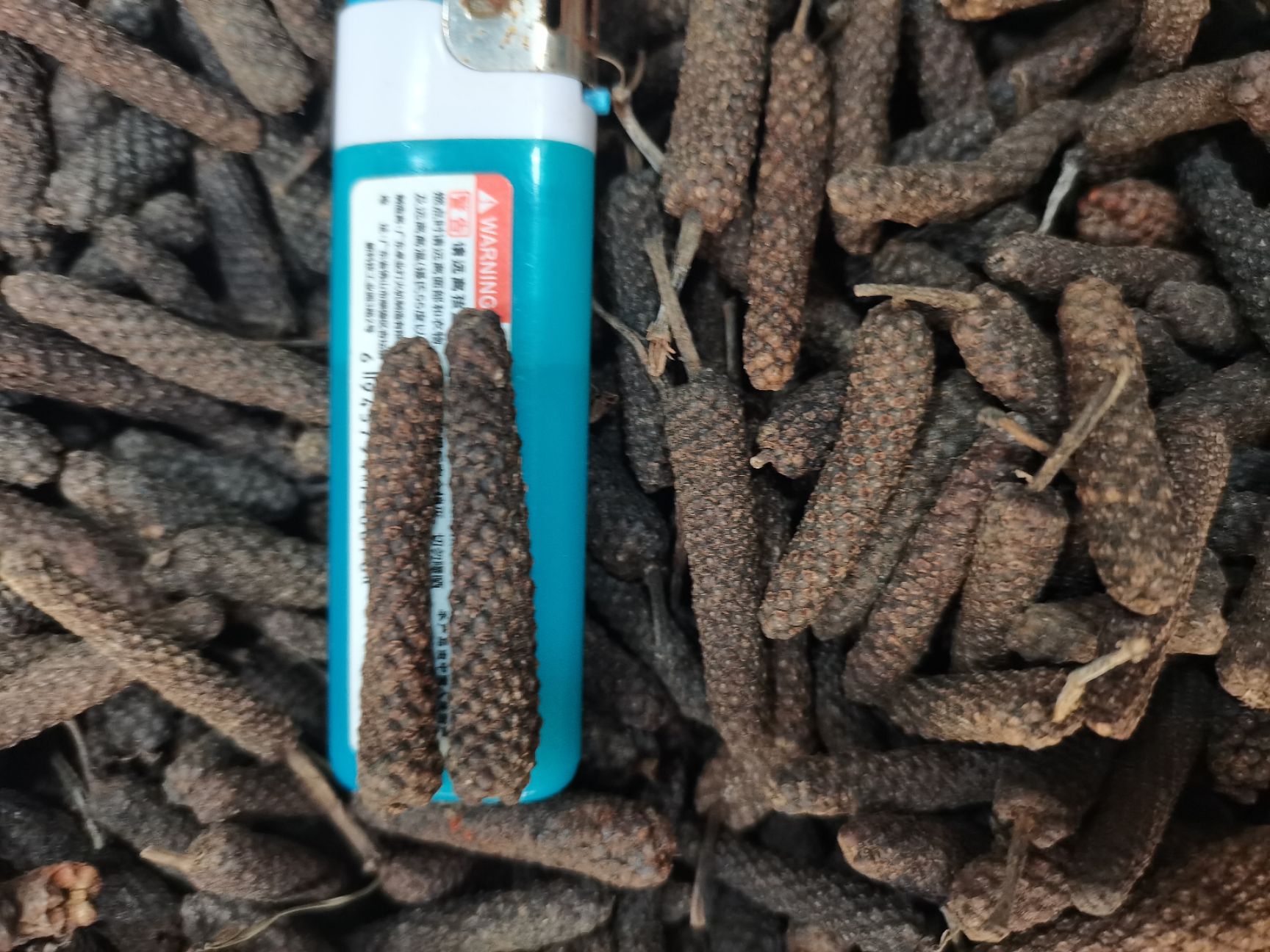 荜茇  毕拨果  毕茇，原货大毕苃，水洗大毕苃，中小毕茇，大