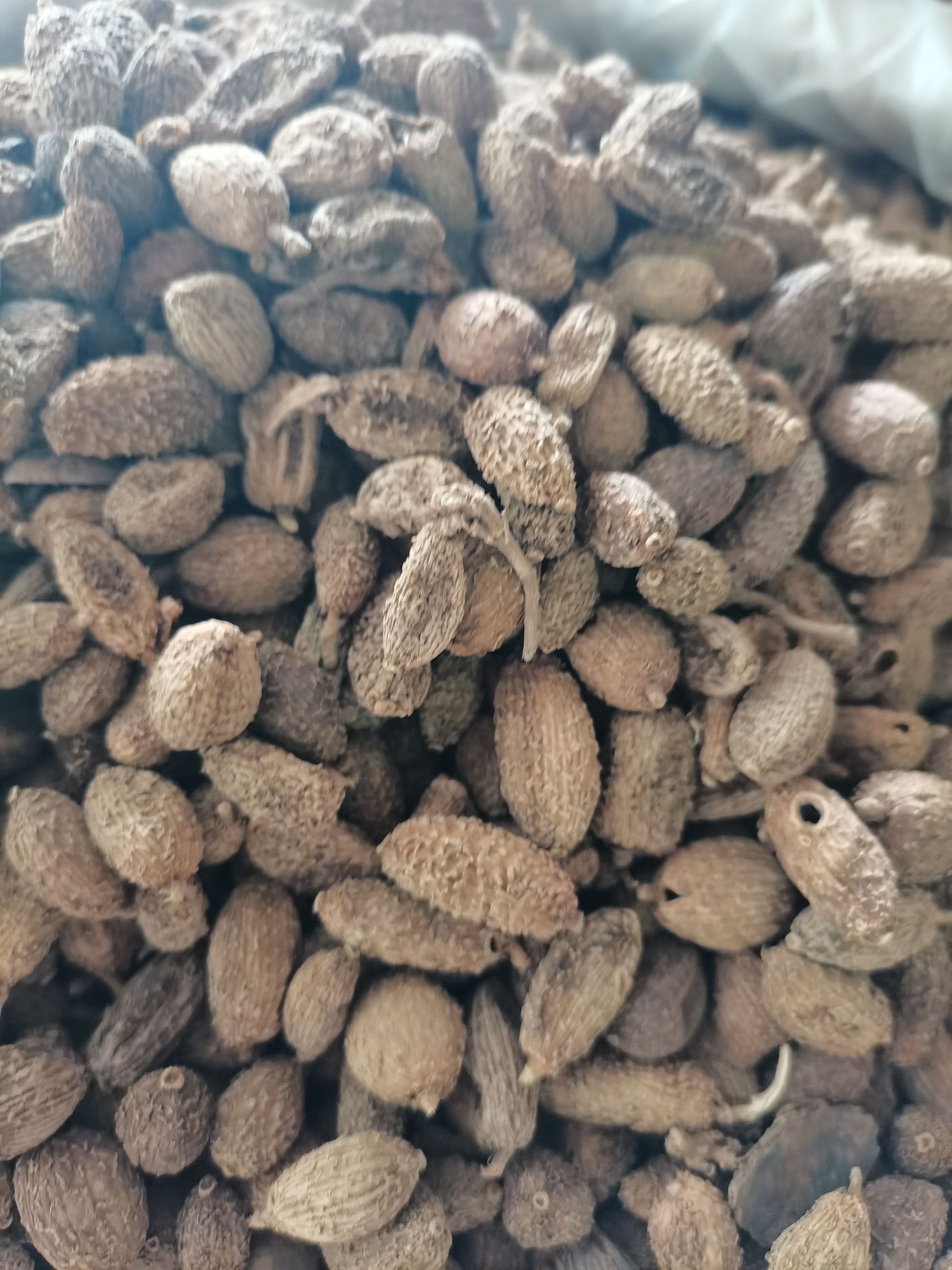 砂仁  缅甸长砂仁，圆砂仁国产阳春砂仁，大量上市，批零兼营，