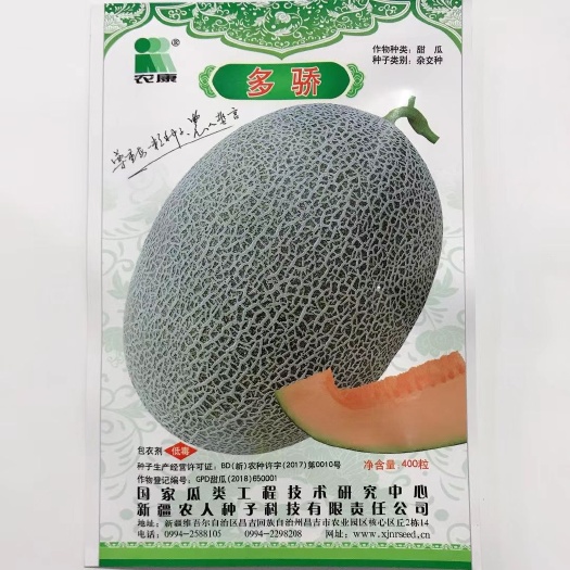 绥化网文瓜种子，西州蜜种子，哈密瓜种子绿肉瓜种子白沙蜜甜瓜种子黄