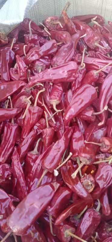  欢迎朋友们前来购干辣椒