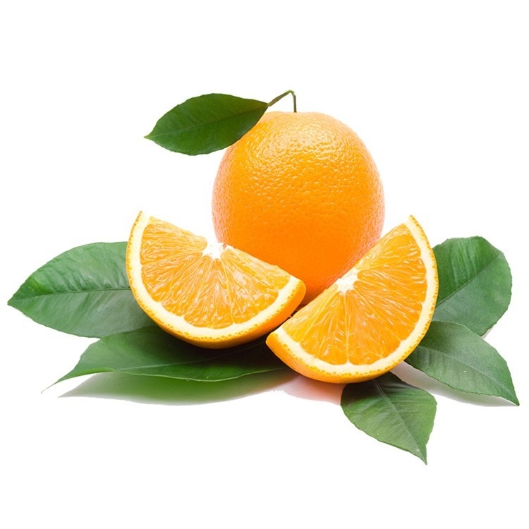 赣南脐橙苗  脐橙   产量高  耐存放