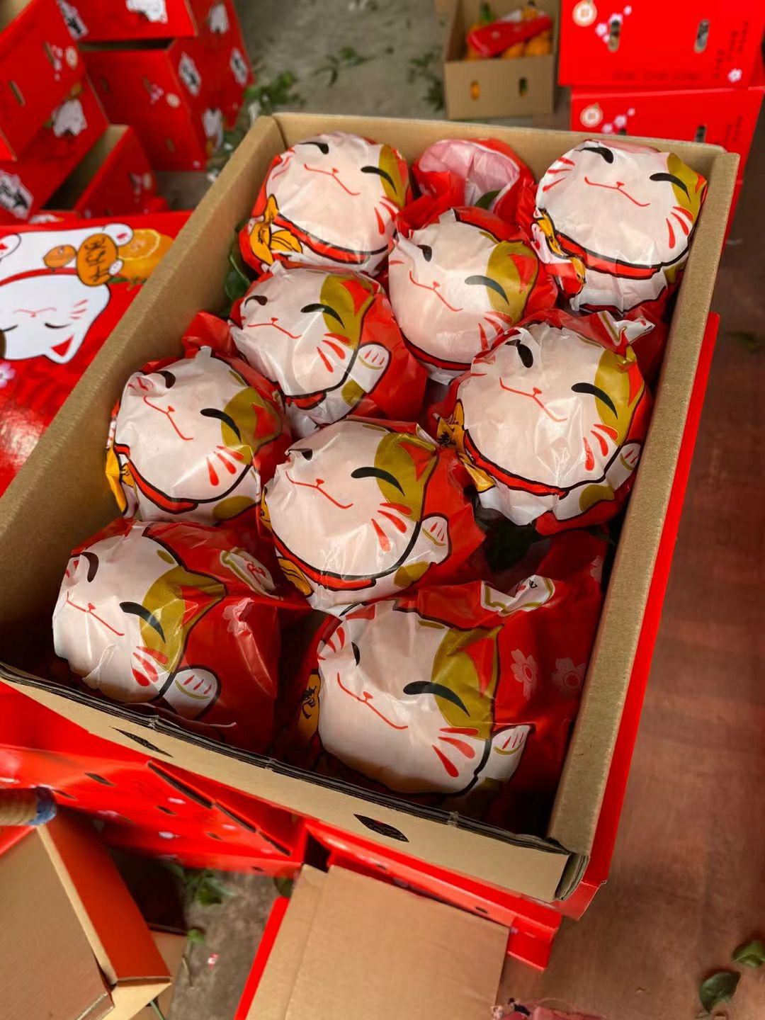 四川春见耙耙柑 新鲜当季水果桔子甜柑橘子果园直供现摘现发