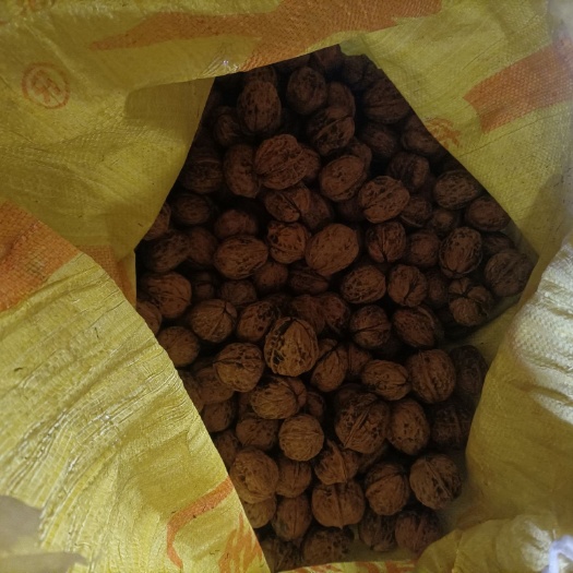 西昌市薄皮核桃 四川大凉山的好核桃真正无污染，老人吃了健脑，小孩吃了聪明，