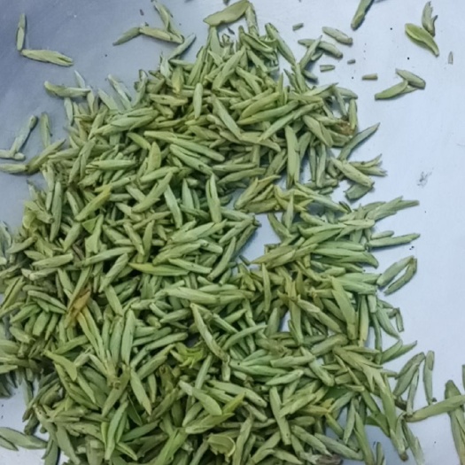三江县龙井茶 春茶贵在无公害吧