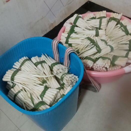 广南县云南特色名菜象牙菜草牙