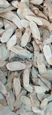 甘肃黄芪瓜子片，纯无硫新货，各种规格，大量供货，批零兼营