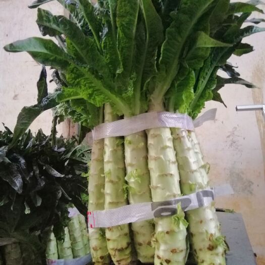 宾阳县莴笋 广西壮族自治区南宁市宾阳县 