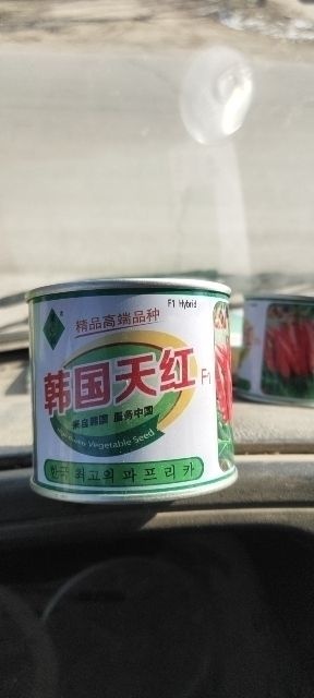 巨野县朝天椒种子 天红辣 F1高辣新品种，亲本来自韩国三系杂交，新选育而成