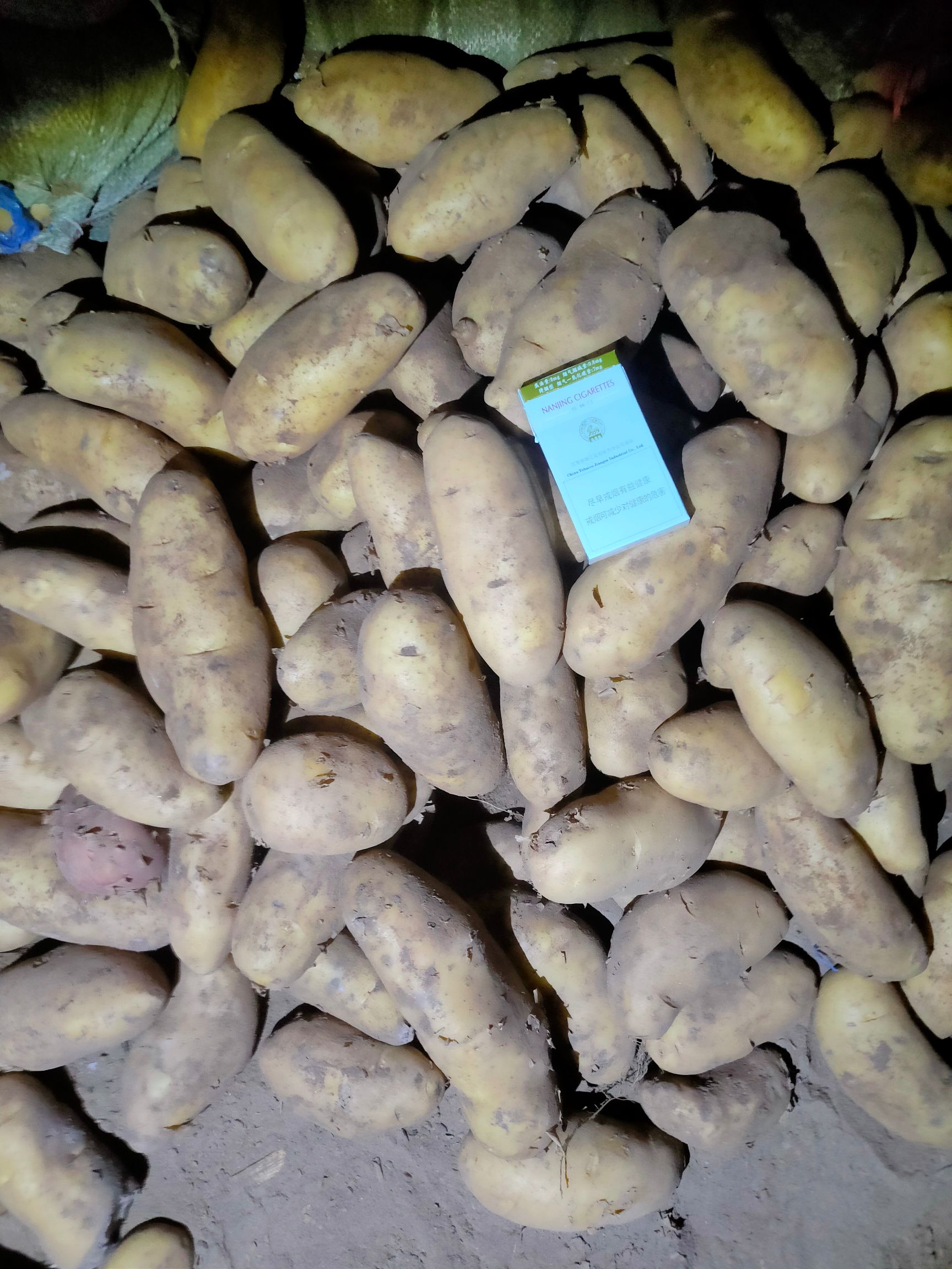 荷兰十五土豆 ，西森六土豆，产地直供，根据全国客商要求分级