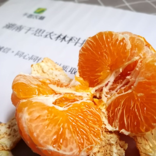 甘平柑橘苗 晚熟大果杂柑新品种 甘平成熟期2月 甘平种植技术