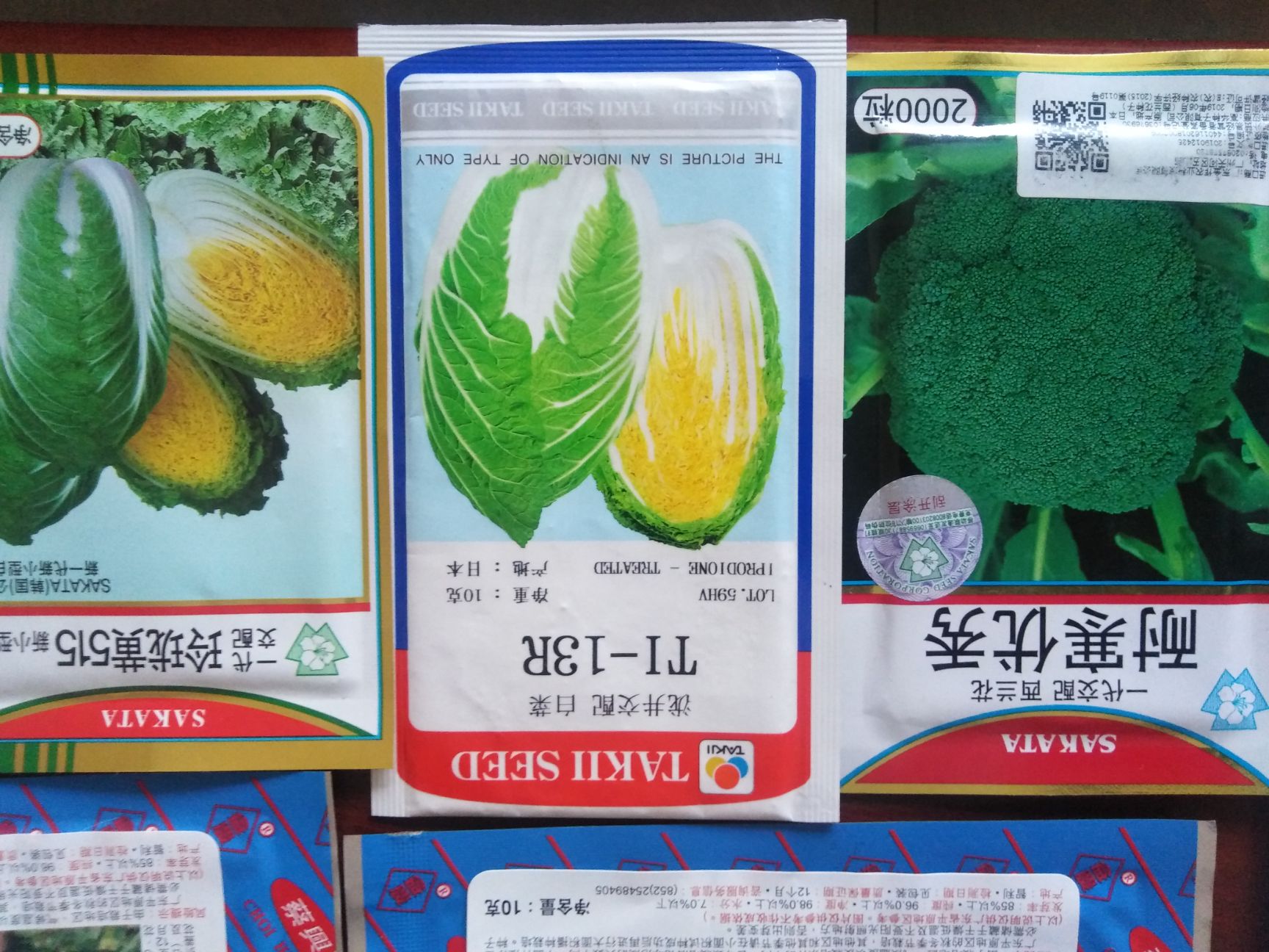 青梗菜种子 有机松花种子