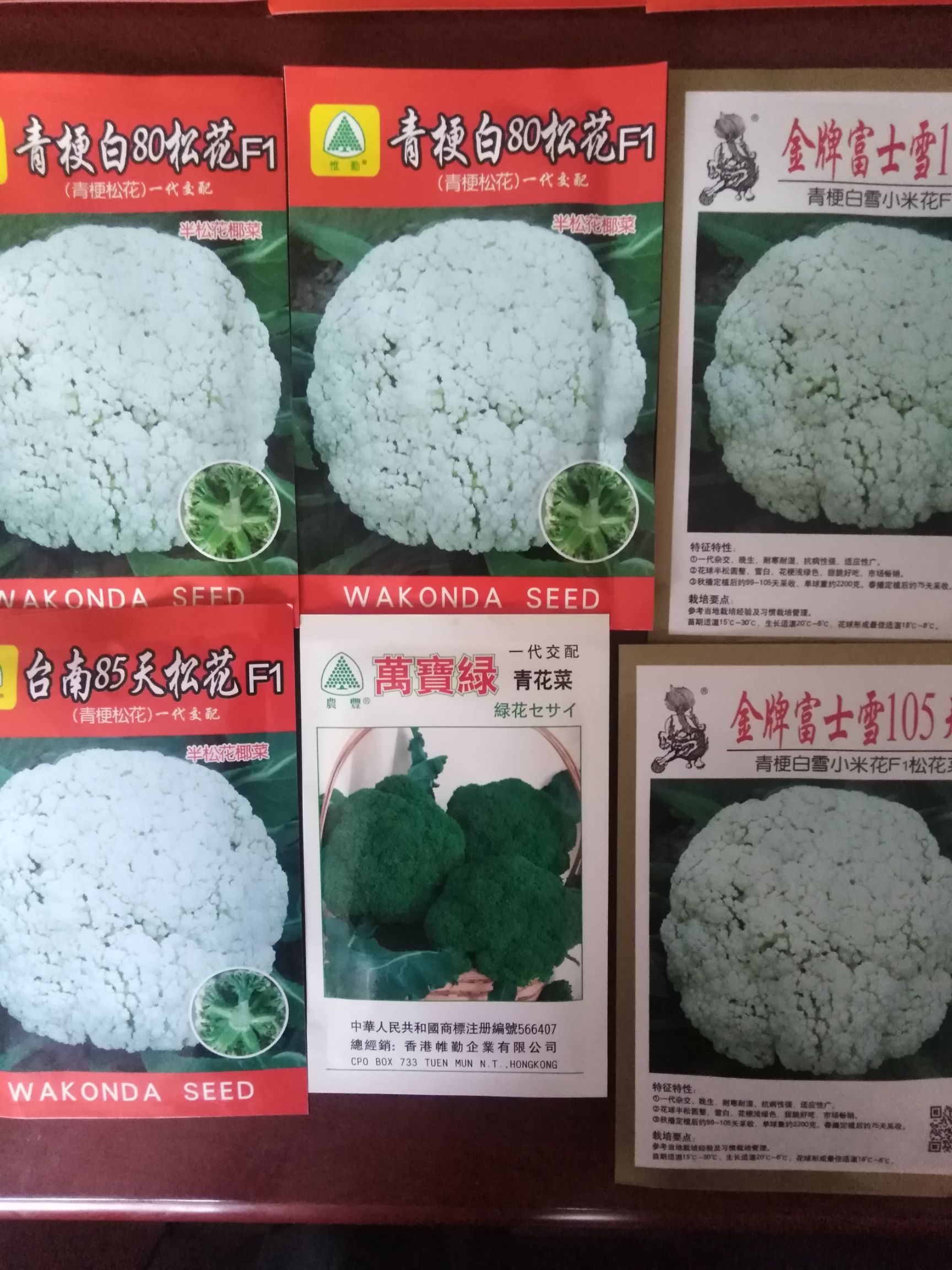 青梗菜种子 有机松花种子