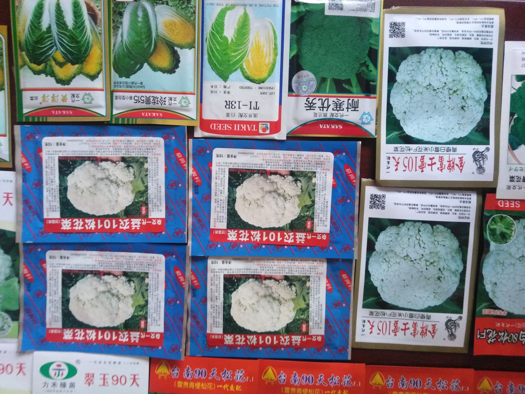 青梗菜种子 有机松花种子