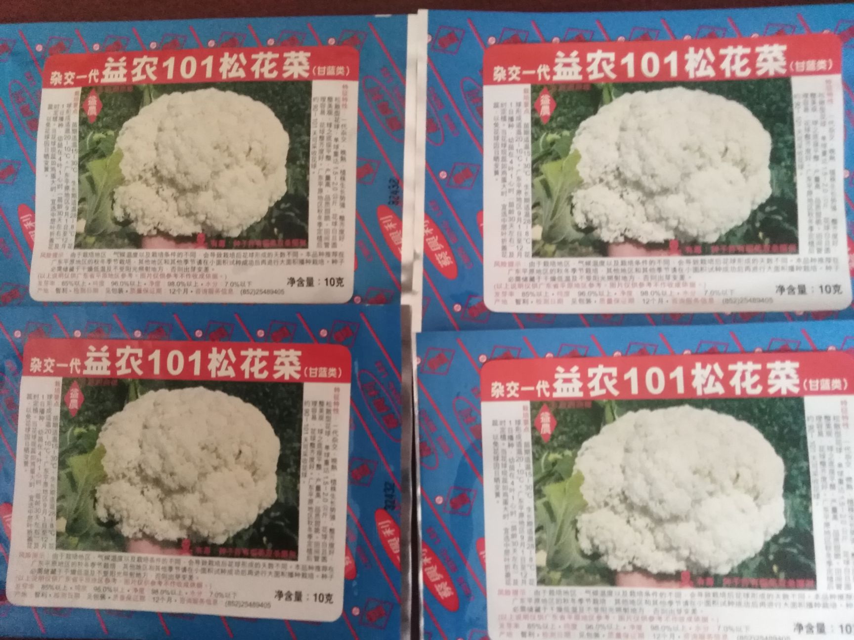 青梗菜种子 有机松花种子