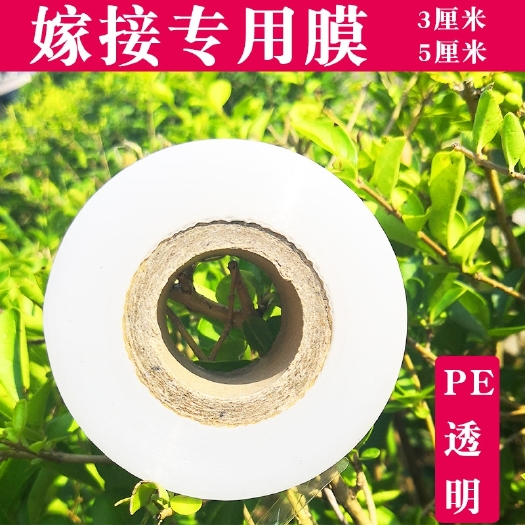 沭阳县嫁接膜  嫁接专用膜嫁接绑带果树苗包扎带无需打结自粘性缠绕膜
