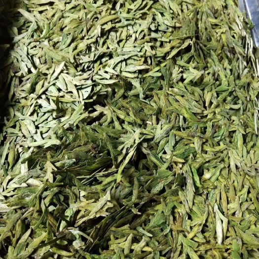 筠连县新白茶 乌牛早