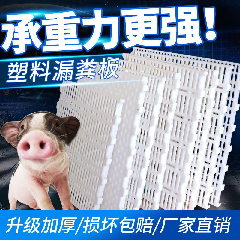 母猪产床  母猪漏粪板塑料漏粪板猪用猪产床保育床漏粪板仔猪漏粪地板猪场用