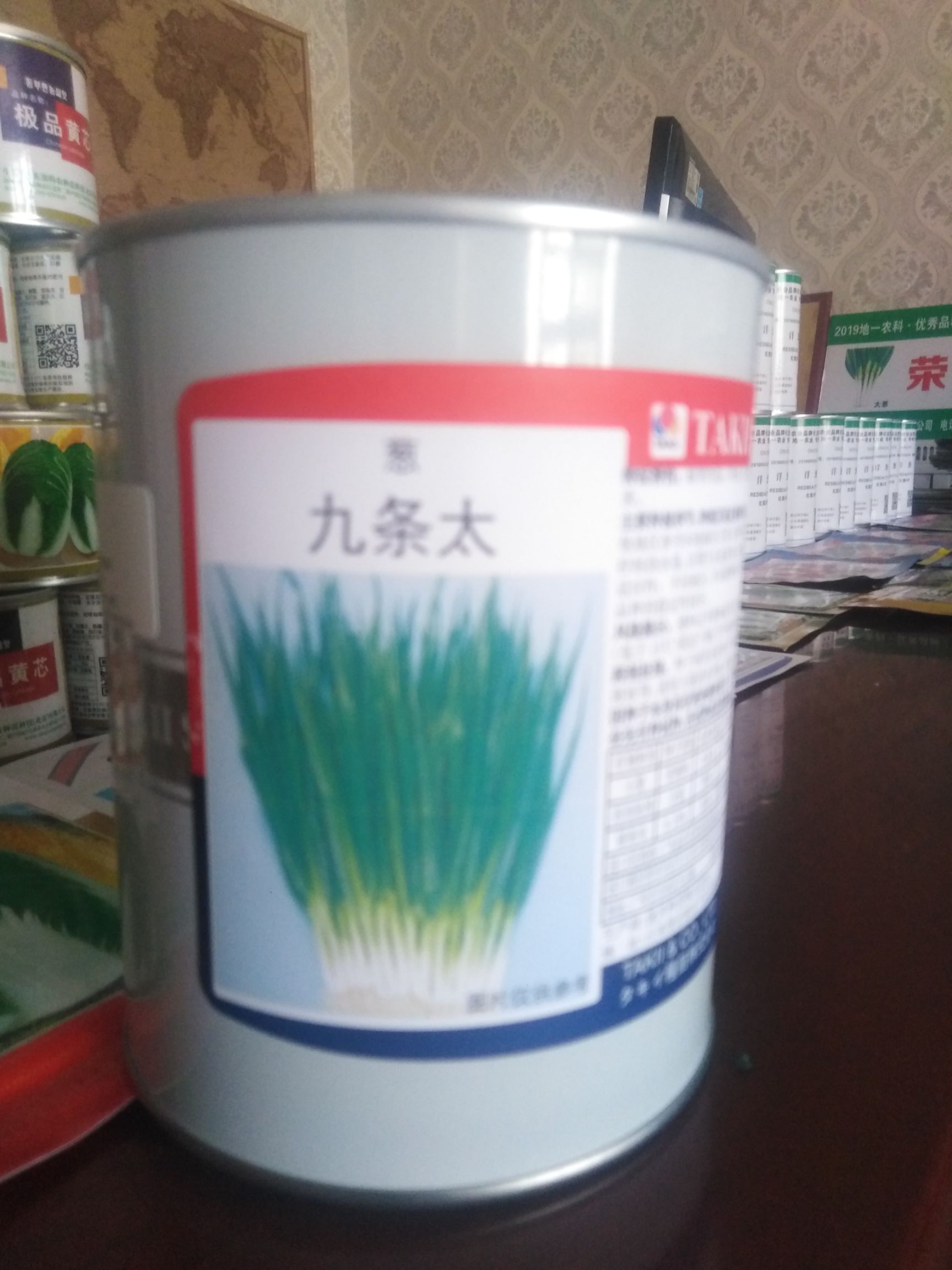青梗菜种子 有机松花种子
