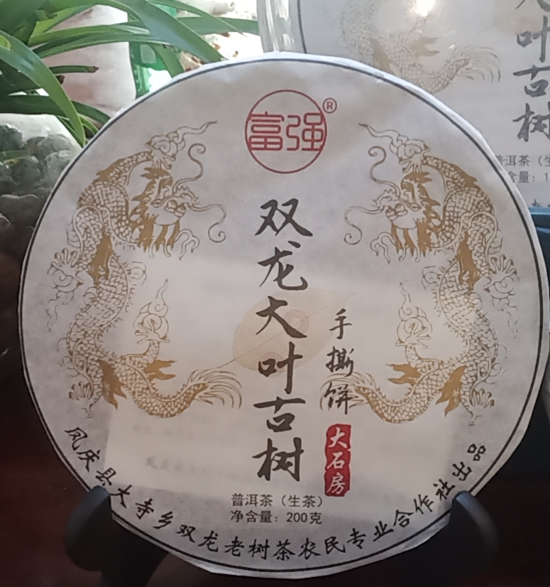 古树茶  双龙大叶古树普洱茶（生茶）