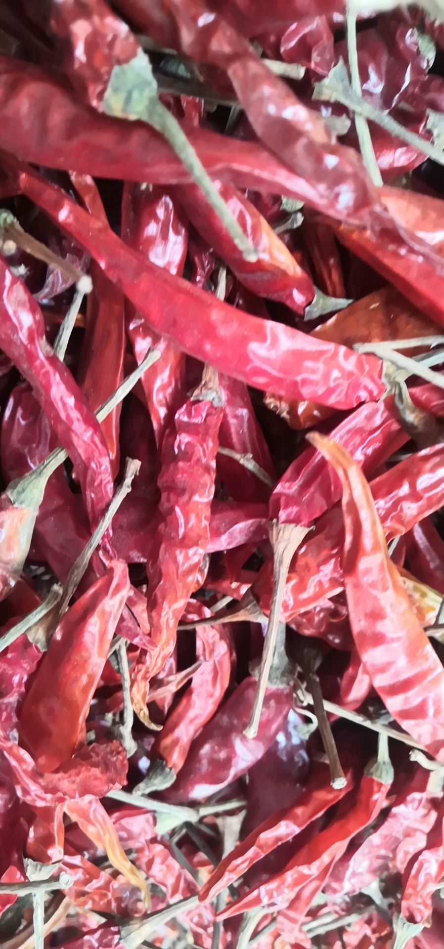 干辣椒  代把干小米椒，通货，质量杠杠滴