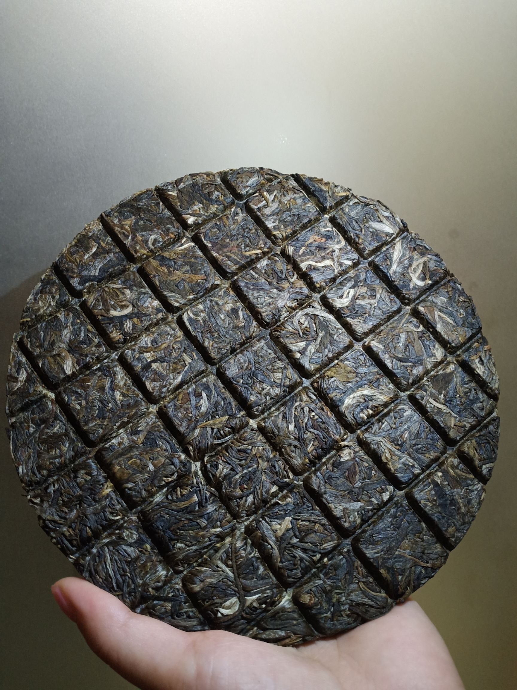 古树茶  双龙大叶古树普洱茶（生茶）