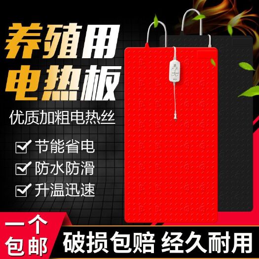 博罗县 仔猪电热板猪用兽用碳纤维加热保温板母猪产床小猪不锈钢电热板狗