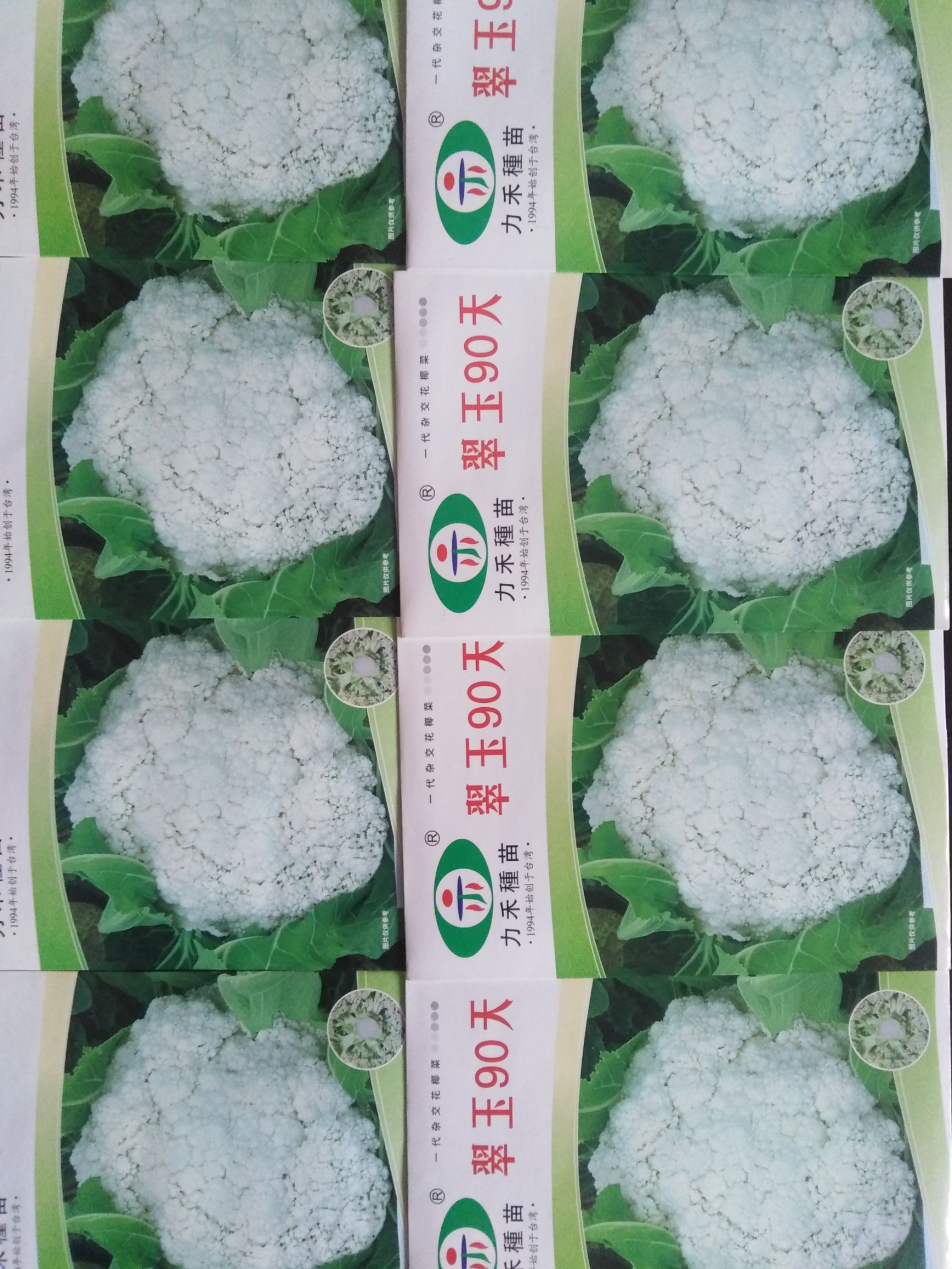 青梗菜种子 有机松花种子