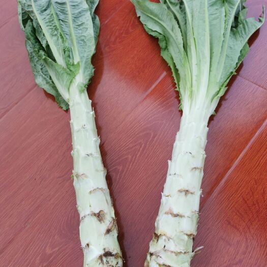 南华县莴笋 露天种植青笋，鲜嫩脆爽，口感一流。