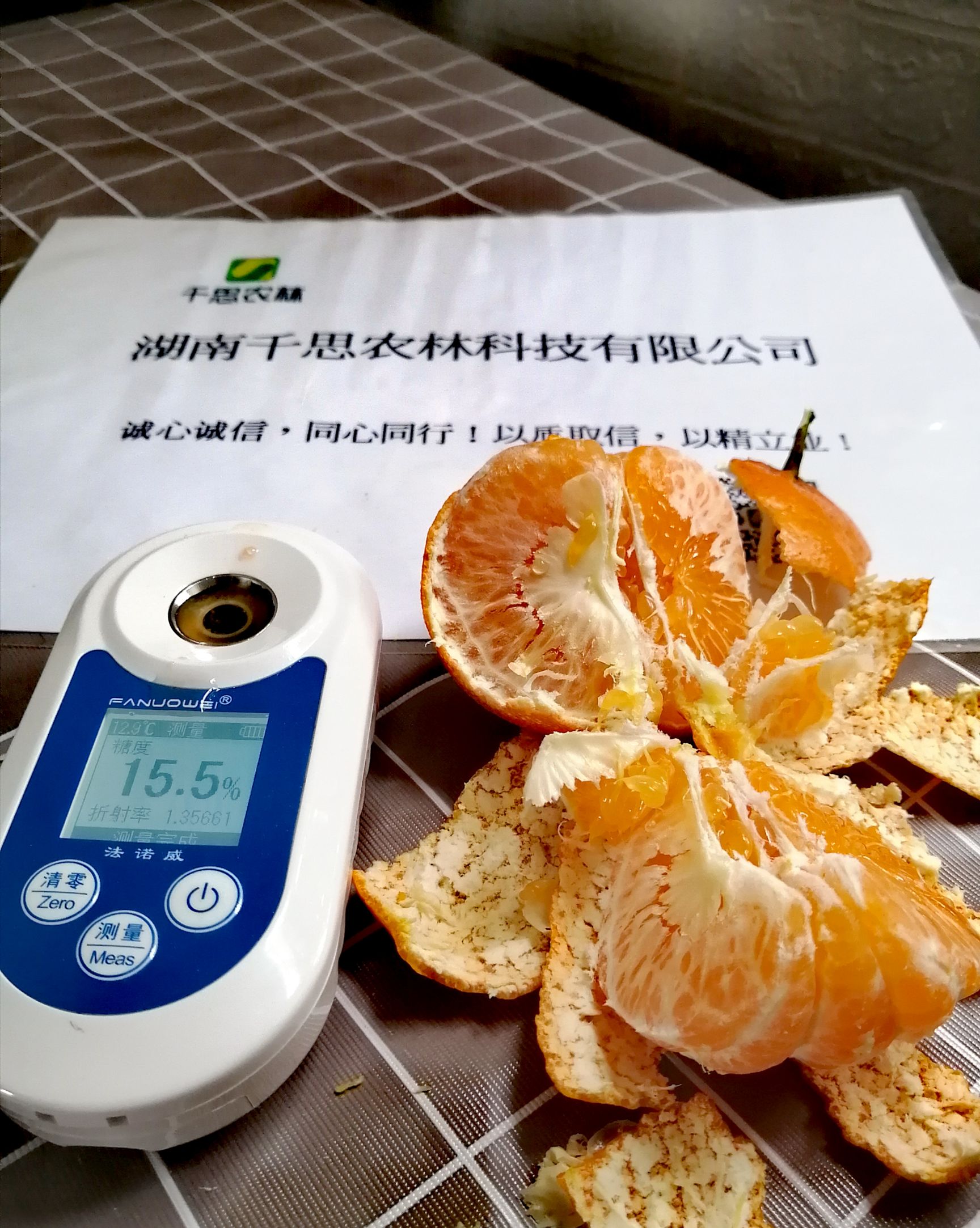 甘平柑橘苗 晚熟大果杂柑新品种 甘平成熟期2月 甘平种植技术