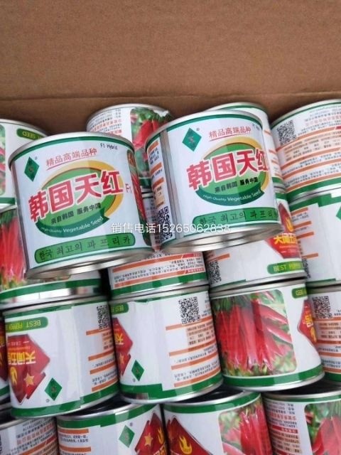 巨野县朝天椒种子 朝天椒高辣韩国天红