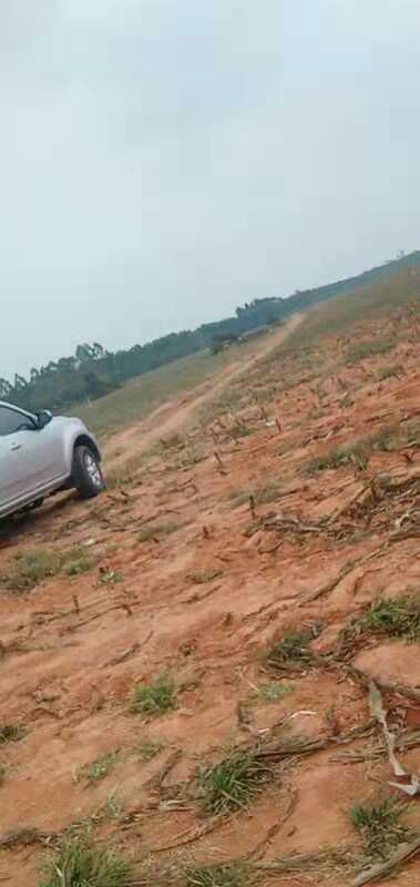 水浇地  300亩红砂地现货出租