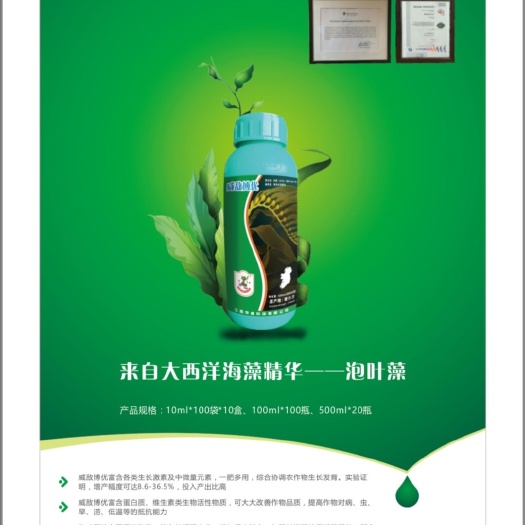 定州市海藻肥 来自大西洋的海藻精华，泡叶藻