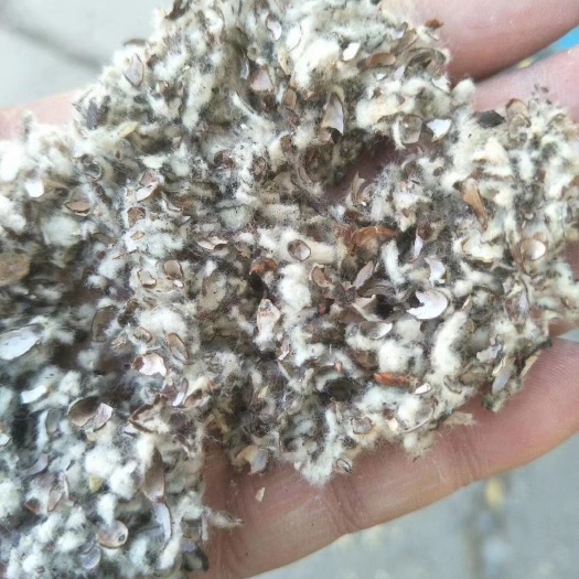 石家庄河北石家庄承德棉籽壳棉渣，玉米芯颗粒压块稻草麸皮次粉甜菜粕