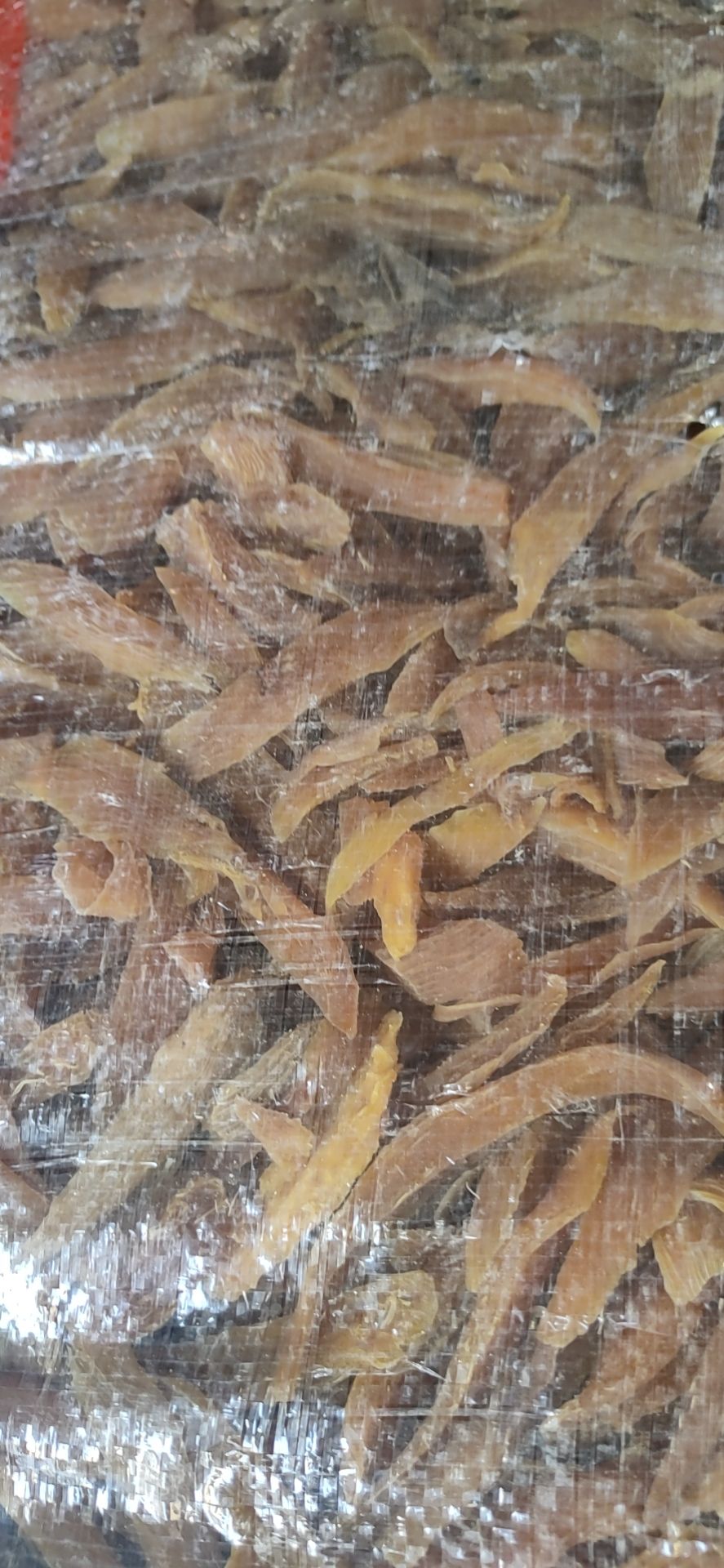 地瓜干 2024-01-09 - 2025-02