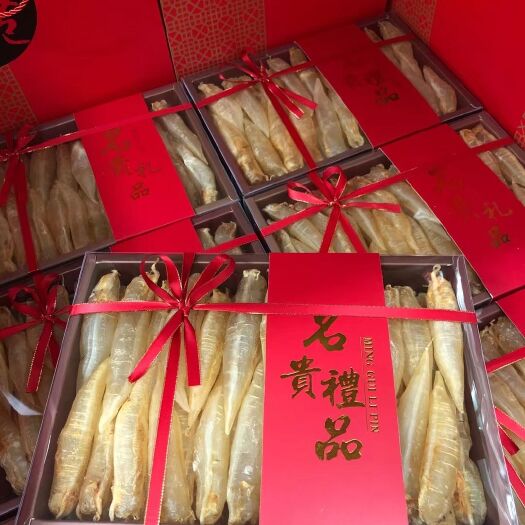 广州 龙金胶筒50-60头 胀气金龙筒 鱼胶花胶干货 批发零售