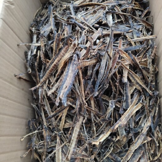 垫江土地龙  邱引干