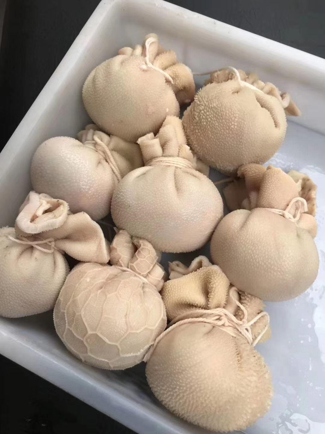 羊肚 羊肚包脑 羊肚包肉