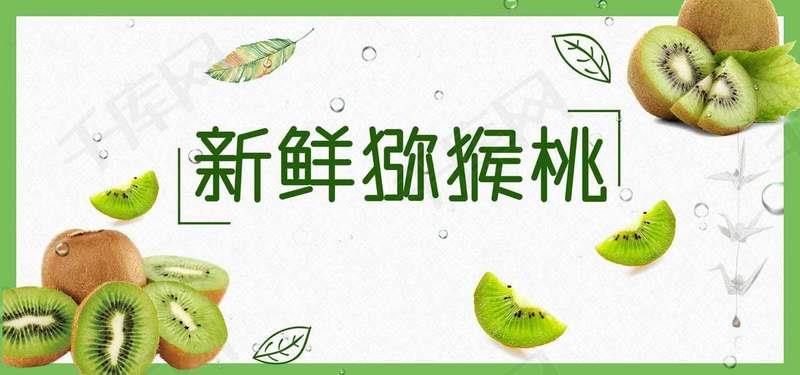海沃德猕猴桃