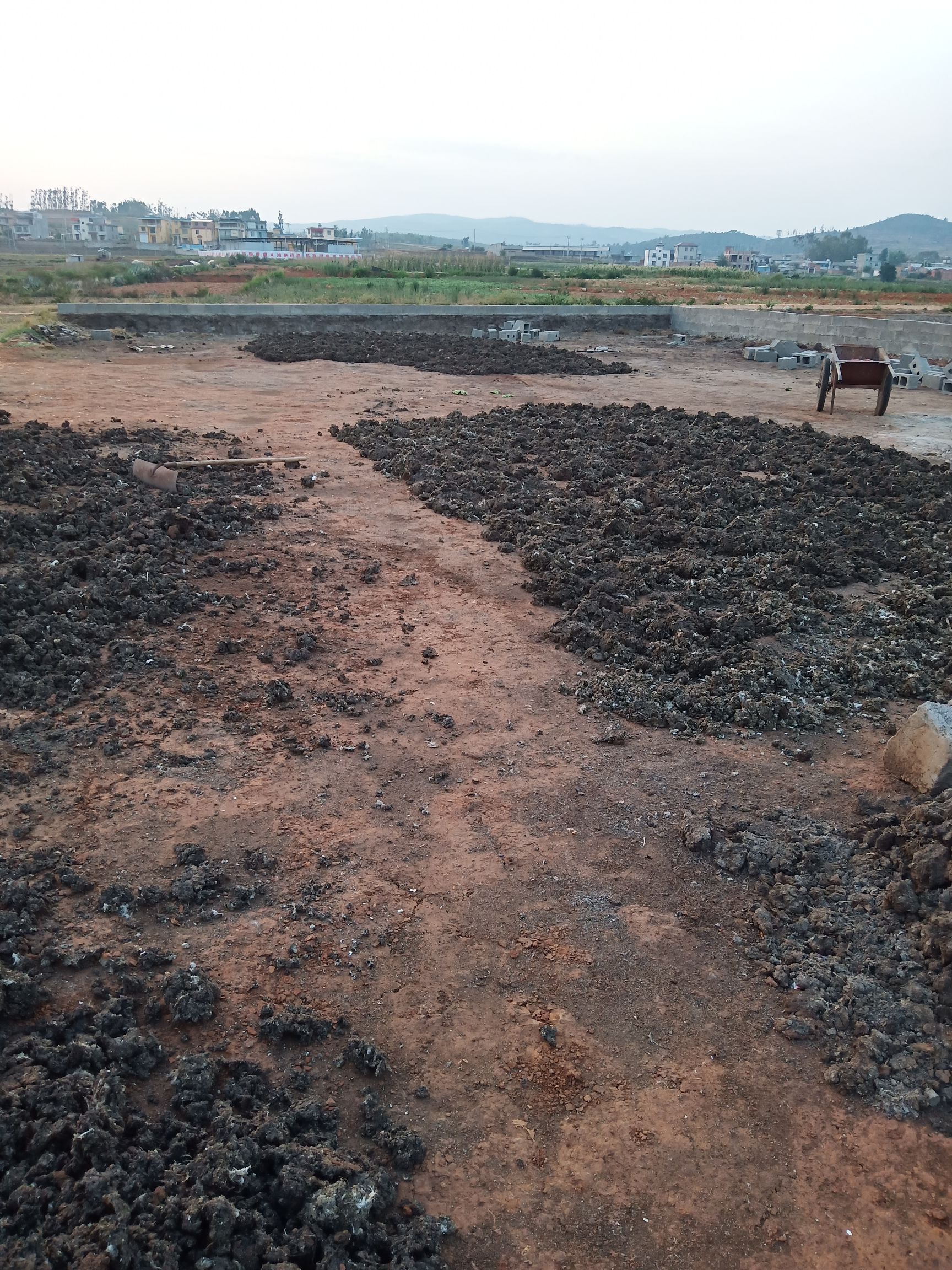 长期供应鸡蛋，鸡粪，淘汰鸡，代办买卖西瓜紫薯