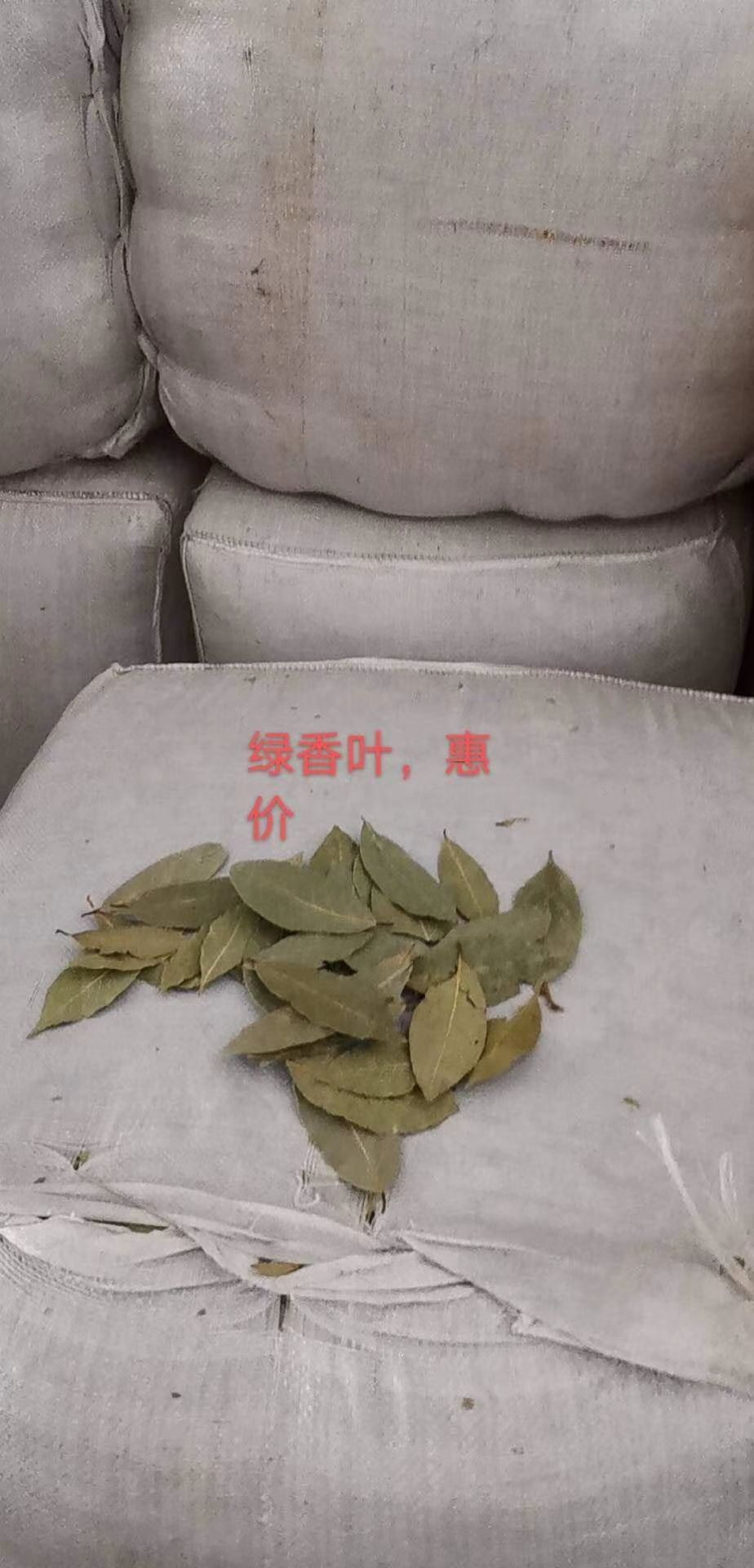 香叶  新货特绿香叶统绿香叶统货香叶各规格齐全大量供应批零