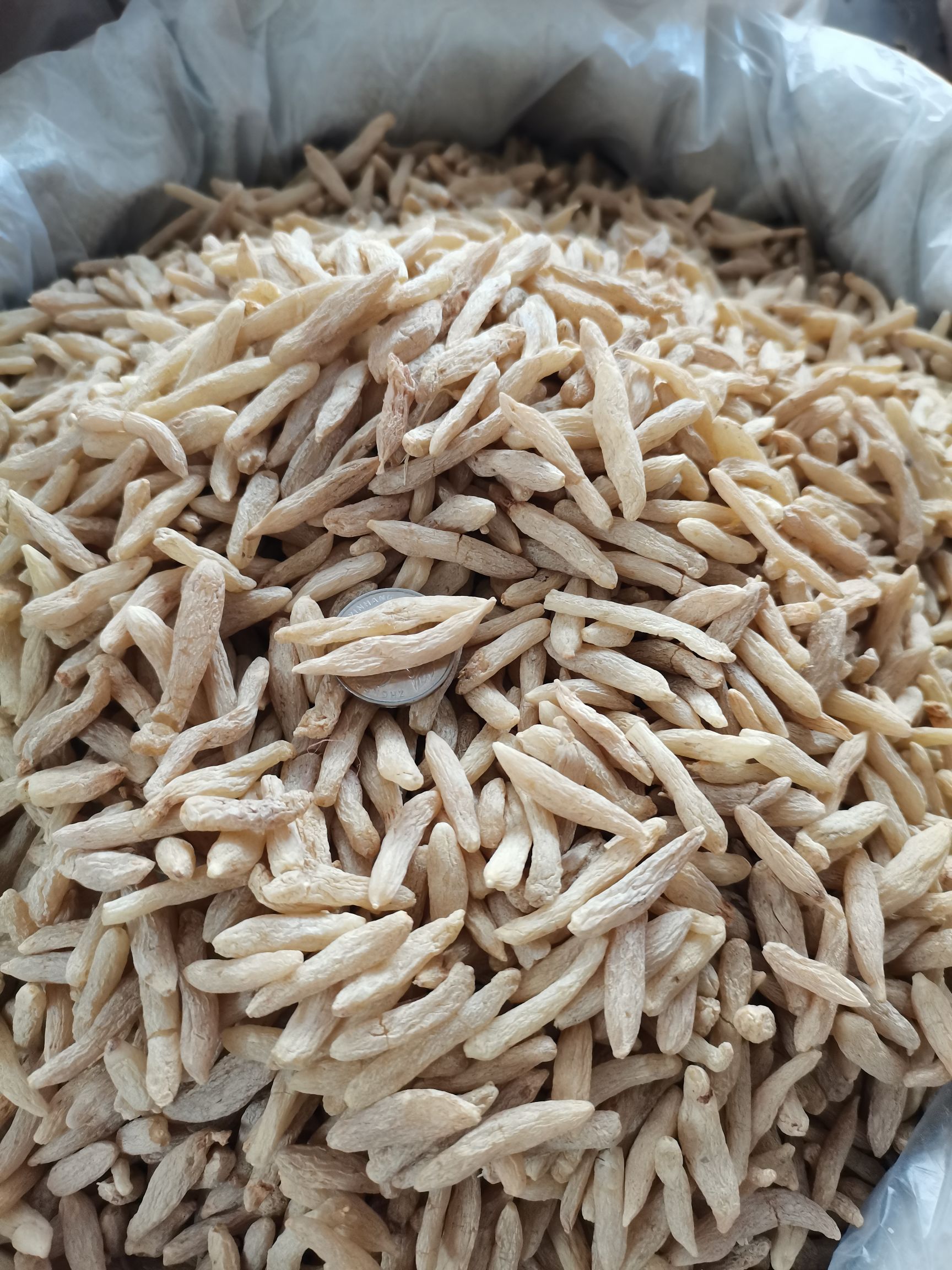 2025年新货太子参精品无硫全干包过药检大货供应，批零兼营