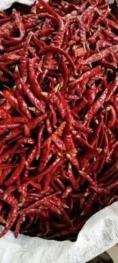 印度魔鬼去把干辣椒超辣精品小米干辣椒，大货供应，批零兼营