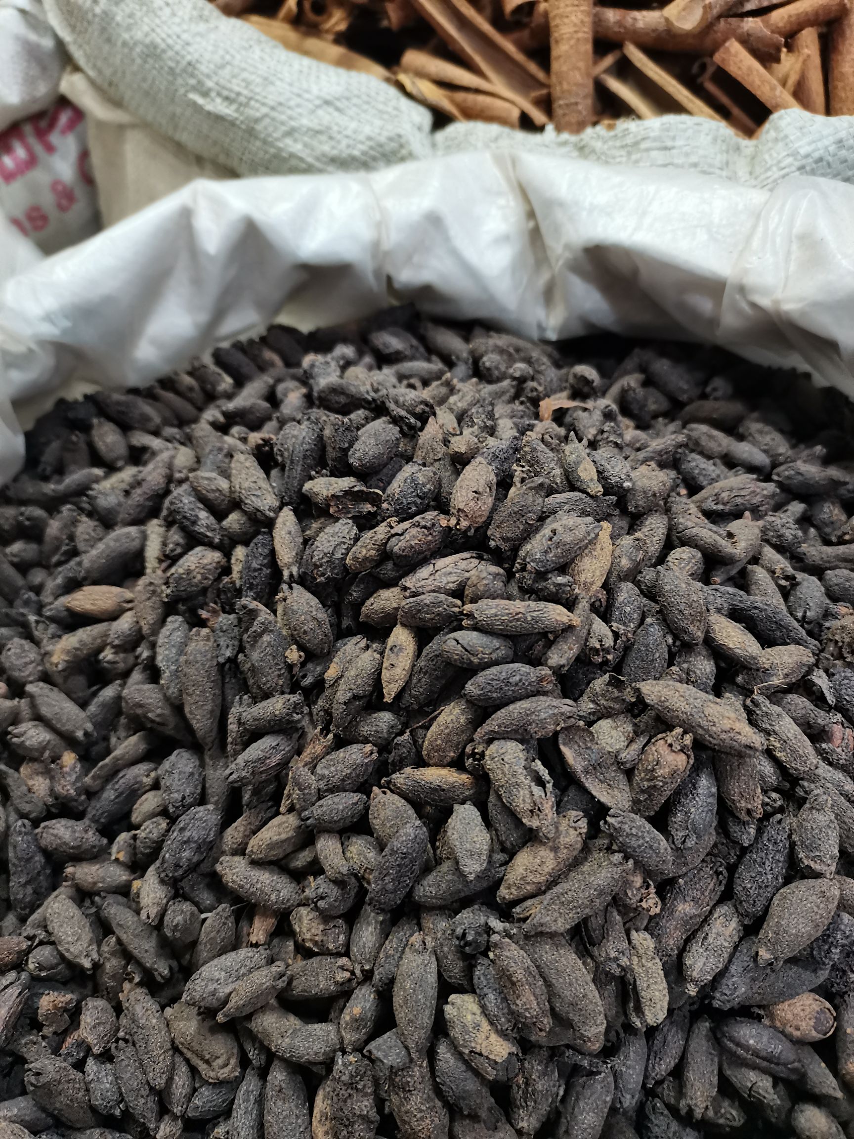 干丁香  母丁香全干纯无硫，新货大量供应，批零兼营，质优价美