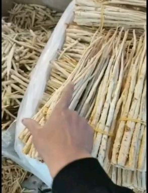 新货内蒙北沙参特选纯无硫长捆把短捆把沙参节批零兼营量大价更优