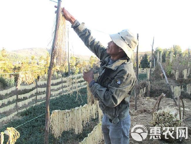 萝卜干干货湖南土特产干萝卜条农家自制脆嫩萝卜萝卜丝风干白萝卜