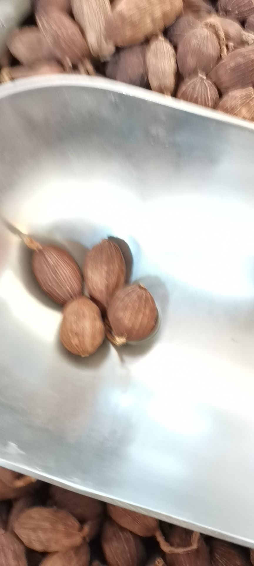 云南统货草果炭烤全干云南统货草果电烤云南选货大草果，批零兼营