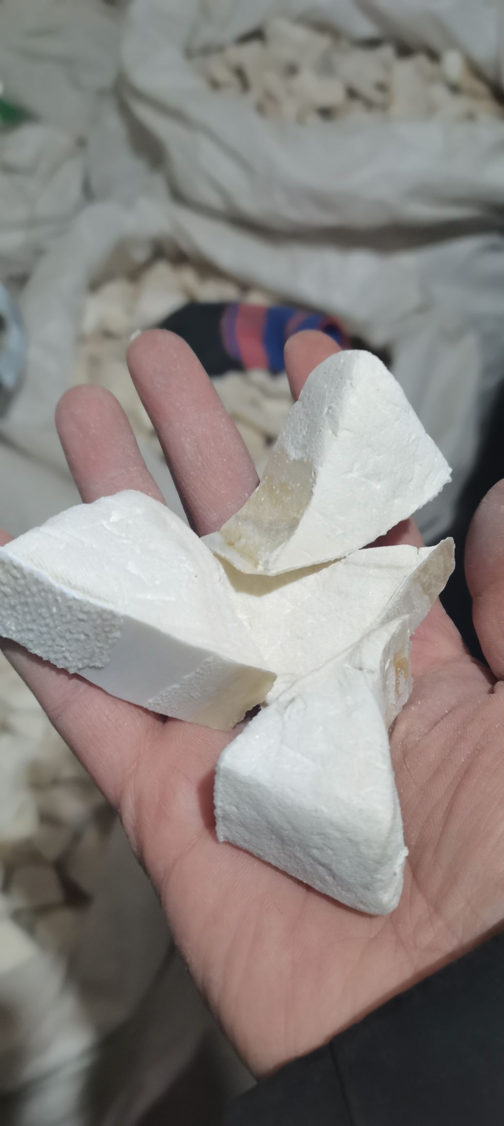 海蛸 海螵蛸 墨鱼骨 乌贼骨 包邮